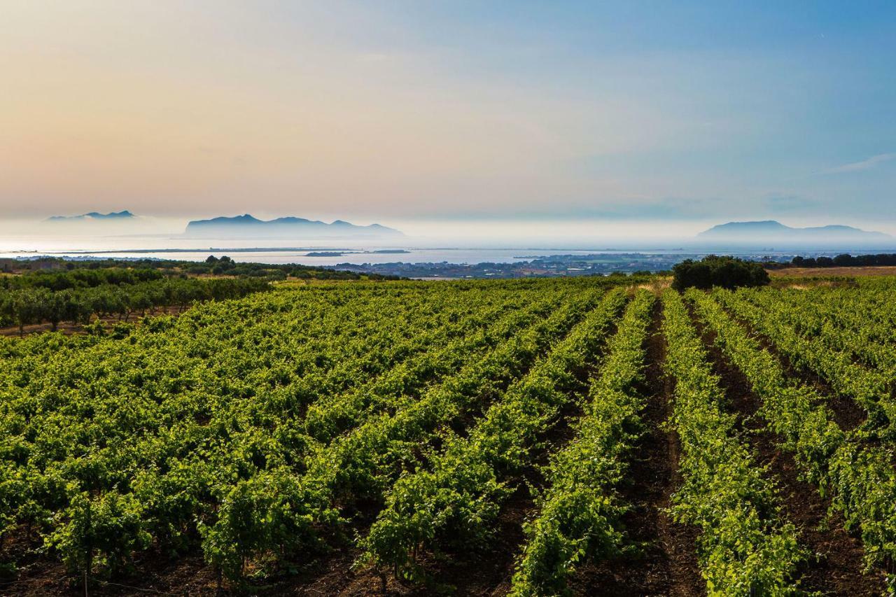 Vigne Al Vento Holiday home