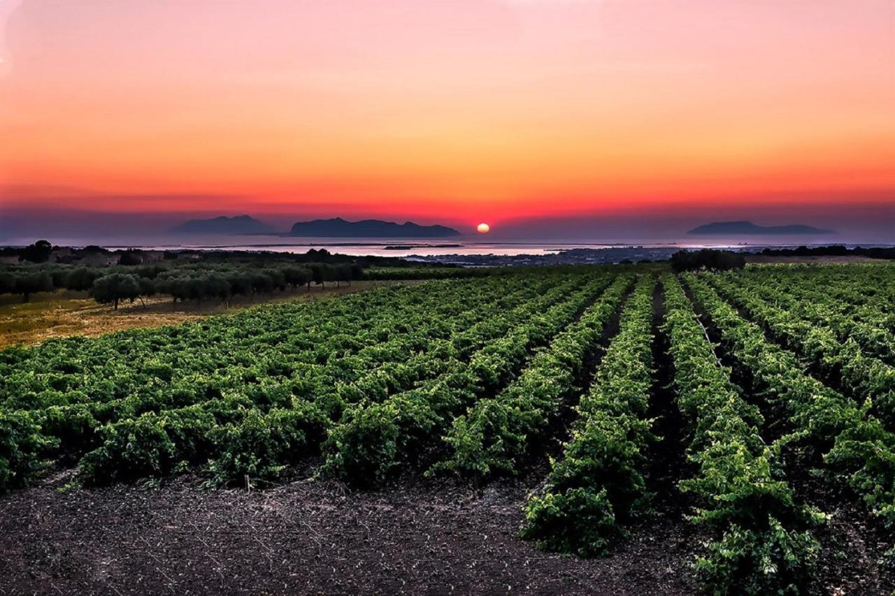 Vigne Al Vento Holiday home