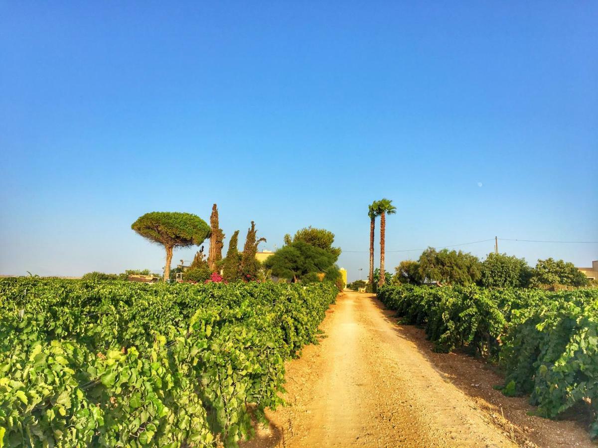 Vigne Al Vento